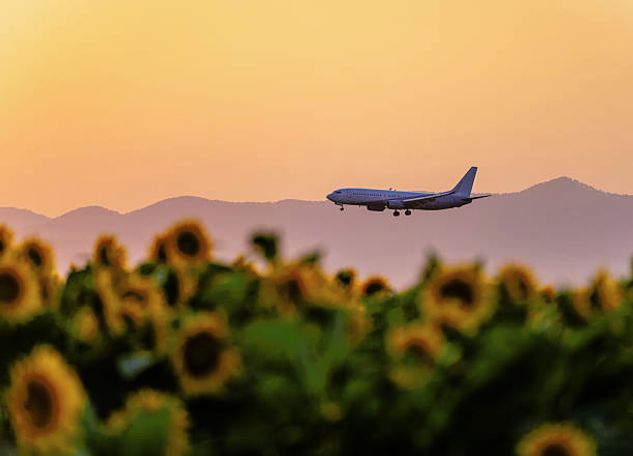 Environmental claims by travel agents: what our latest sweep found