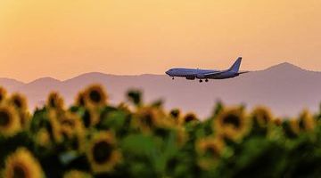 Environmental claims by travel agents: what our latest sweep found