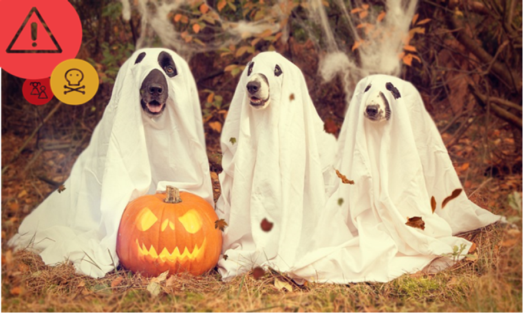 Whatever you do, don’t fall asleep… when creating Halloween and Bonfire Night themed ads