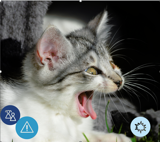 Scream Day! Ensuring your horror themed ads are fearlessly compliant