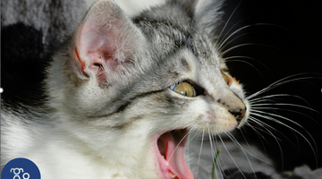 Scream Day! Ensuring your horror themed ads are fearlessly compliant