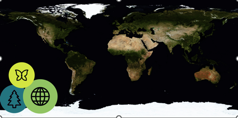 Three key tips for green claims this Earth Day
