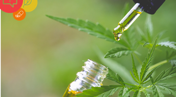 Cannabidiol you need to know about advertising CBD containing products