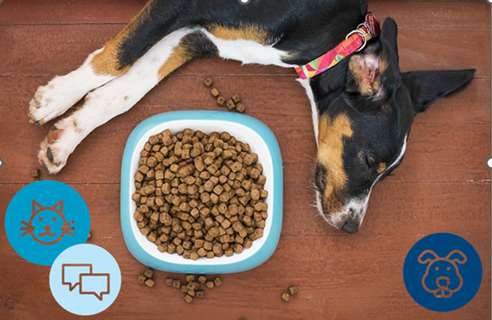 Bark up the right tree – take the lead on your pet food ads