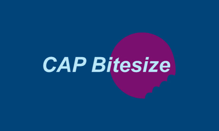 Launching CAP Bitesize - learning the ad rules in bitesize chunks