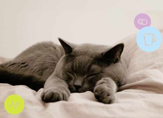 Vitamin Zzzz - it’s World Sleep Day!