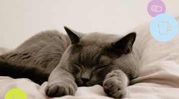 Vitamin Zzzz - it’s World Sleep Day!