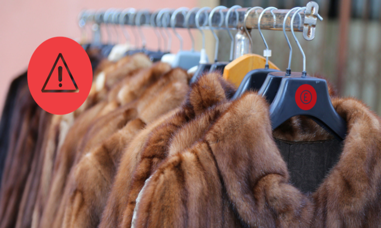 Enforcement Notice about misleading 'faux fur' claims