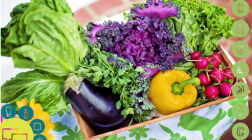 Harvest our fresh advice on “Organic” claims