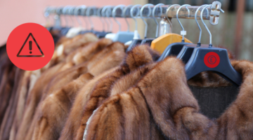 Enforcement Notice about misleading 'faux fur' claims