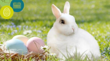 As it’s Easter, lettuce take a look at some bunny rulings 