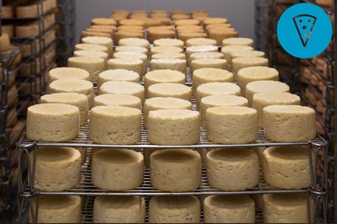 Grate timing – it’s National Cheese Day!