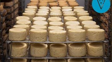 Grate timing – it’s National Cheese Day!