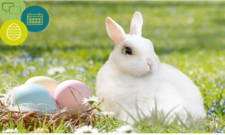 As it’s Easter, lettuce take a look at some bunny rulings